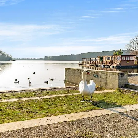3 Zimmer, Beamer, Balkon, Woltersdorf (Brandenburg)